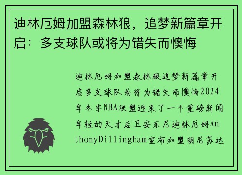 迪林厄姆加盟森林狼，追梦新篇章开启：多支球队或将为错失而懊悔